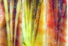 'Autumn', 2005 - fused glass and metals, hanging - 3 x 11x74cms - SALE PRICE £180