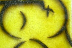 o1