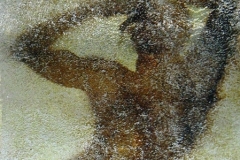 o3